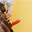 Handyman repair service in Knoxville, TN for home fixes and improvements